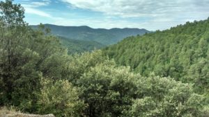 Cévennes, nature