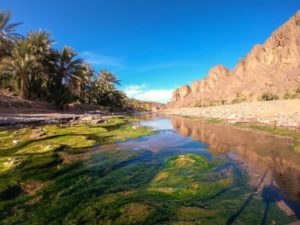 Voyage cuisine Maghreb