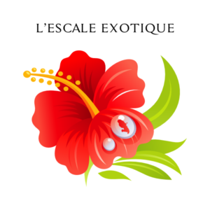 logo nidia escale exotique