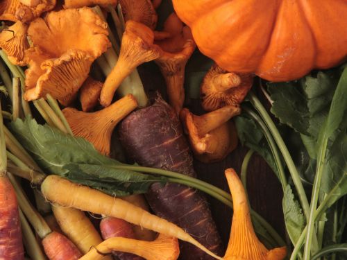 fruits et légumes automne