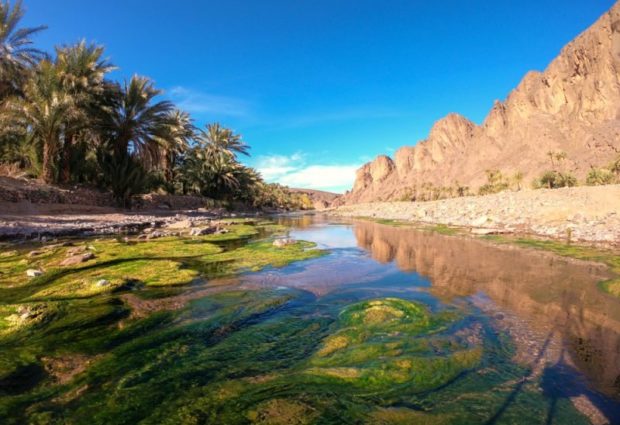 Voyage cuisine Maghreb